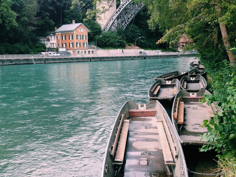 Professional consultation